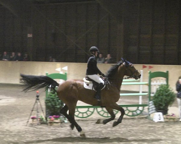 Reitturnier Mannheim-Neckarau 2019