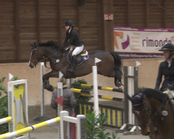 Reitturnier Mannheim-Neckarau 2019