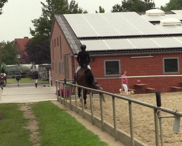 Reitturnier Ascheberg 2021