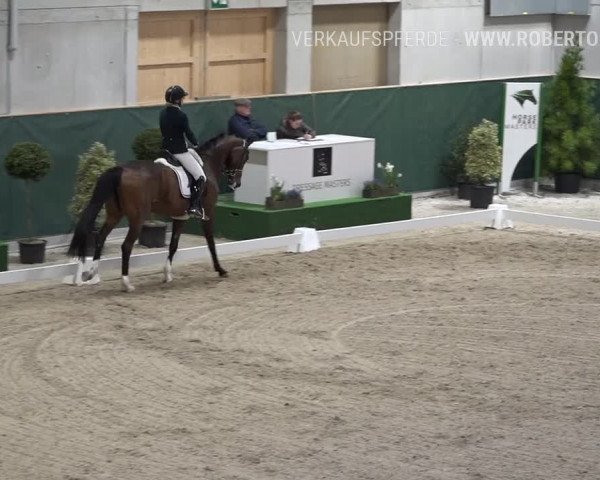 Reitturnier Dielsdorf, Horsepark 2019