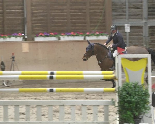Reitturnier Mannheim-Neckarau 2019