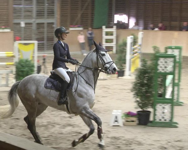 Reitturnier Mannheim-Neckarau 2019