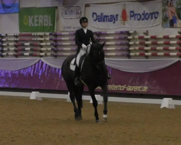 Reitturnier Eicherloh RH Laurent/Obb. 2019