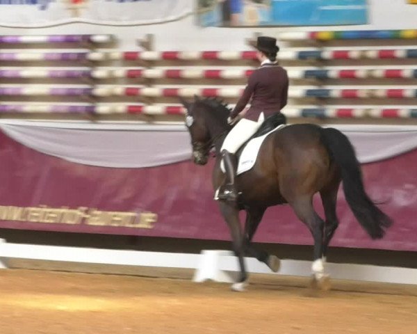 Reitturnier Eicherloh RH Laurent/Obb. 2019