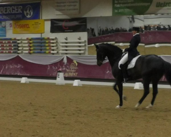Reitturnier Eicherloh RH Laurent/Obb. 2019