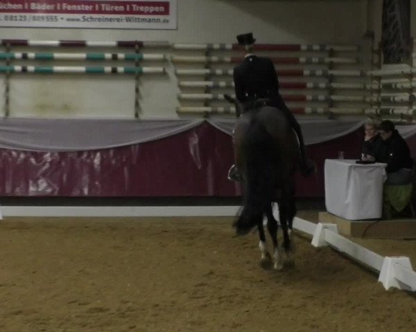 Reitturnier Eicherloh RH Laurent/Obb. 2019