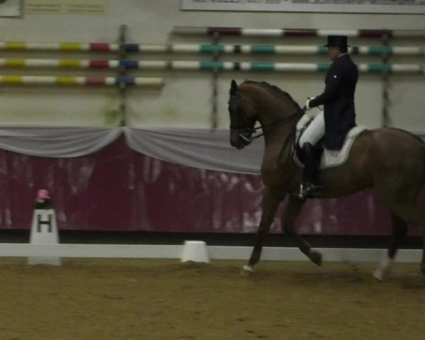 Reitturnier Eicherloh RH Laurent/Obb. 2019