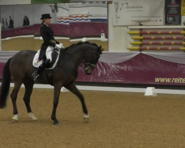 Reitturnier Eicherloh RH Laurent/Obb. 2019