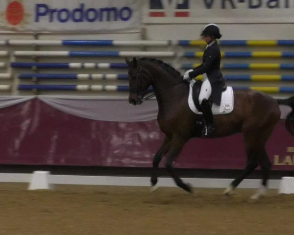 Reitturnier Eicherloh RH Laurent/Obb. 2019