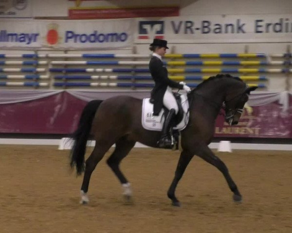 Reitturnier Eicherloh RH Laurent/Obb. 2019
