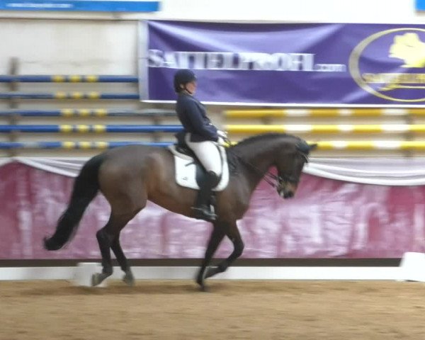 Reitturnier Eicherloh RH Laurent/Obb. 2019