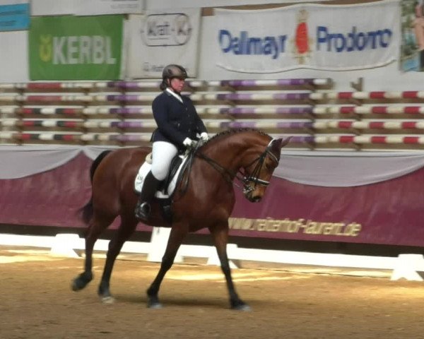 Reitturnier Eicherloh RH Laurent/Obb. 2019