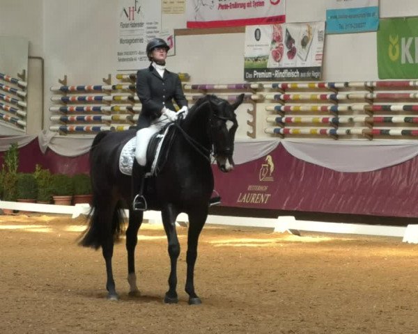Reitturnier Eicherloh RH Laurent/Obb. 2019