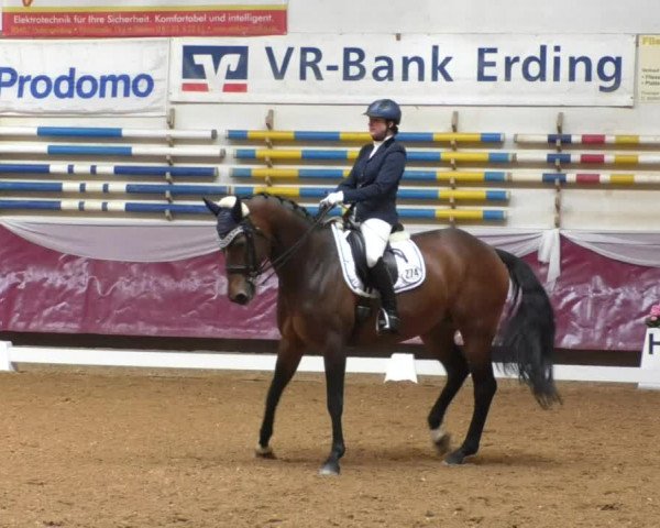 Reitturnier Eicherloh RH Laurent/Obb. 2019