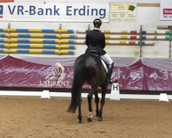 Reitturnier Eicherloh RH Laurent/Obb. 2019