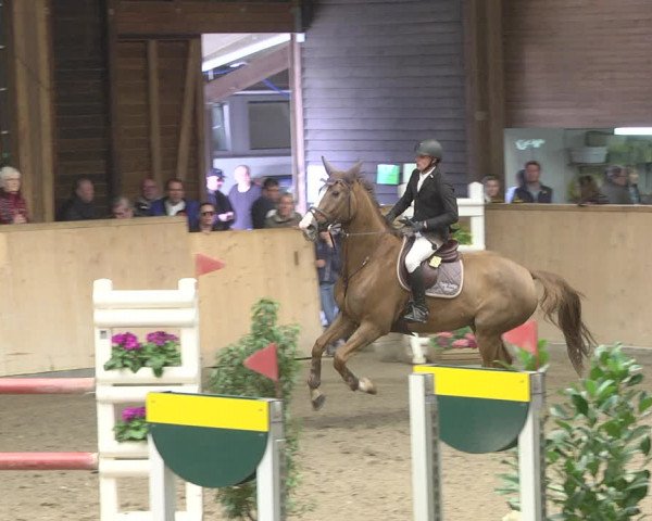 Reitturnier Mannheim-Neckarau 2019