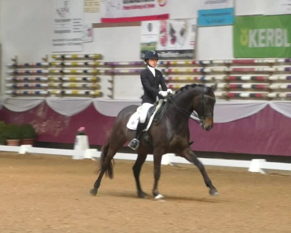 Reitturnier Eicherloh RH Laurent/Obb. 2019