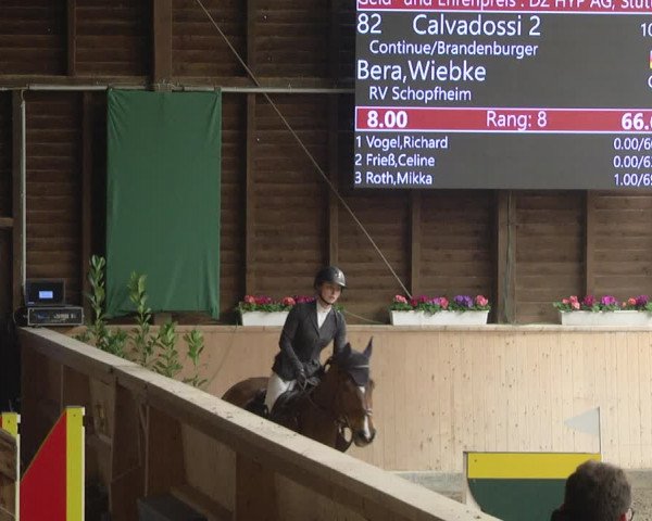 Reitturnier Mannheim-Neckarau 2019