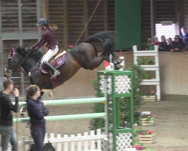 Reitturnier Mannheim-Neckarau 2019