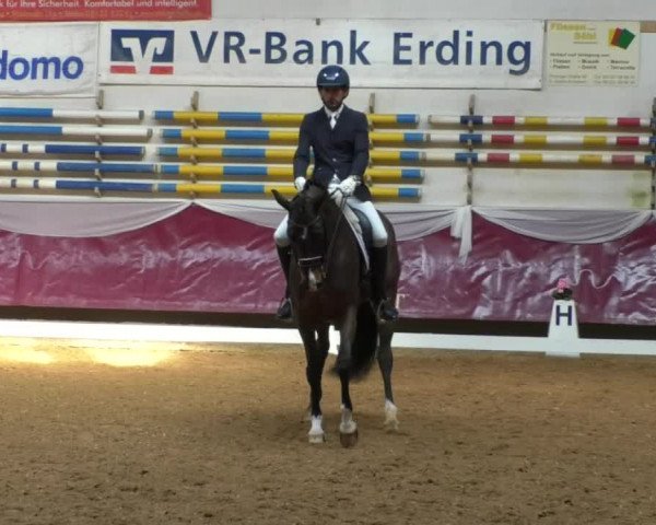 Reitturnier Eicherloh RH Laurent/Obb. 2019