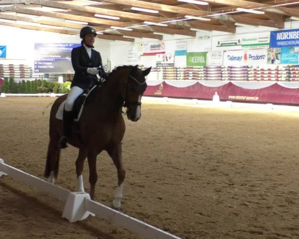 Reitturnier Eicherloh RH Laurent/Obb. 2019