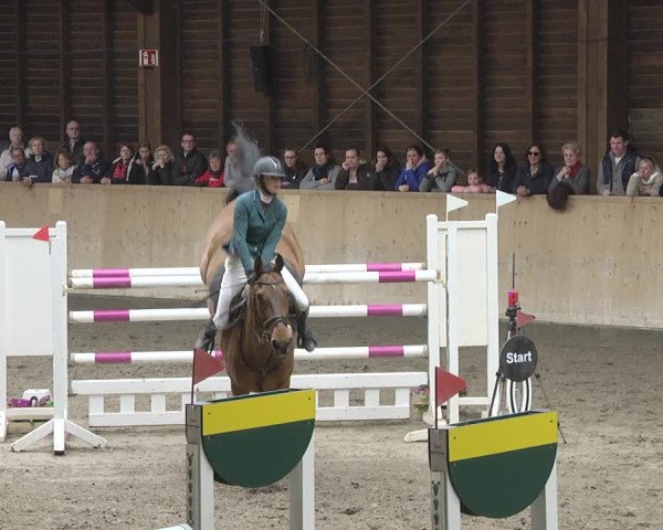 Reitturnier Mannheim-Neckarau 2019