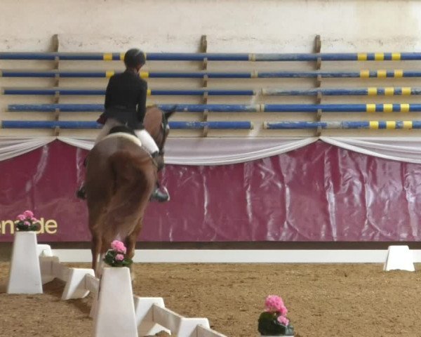 Reitturnier Eicherloh RH Laurent/Obb. 2019