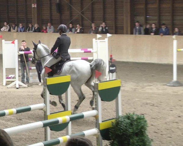 Reitturnier Mannheim-Neckarau 2019