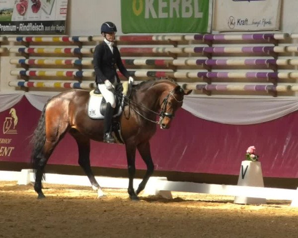 Reitturnier Eicherloh RH Laurent/Obb. 2019