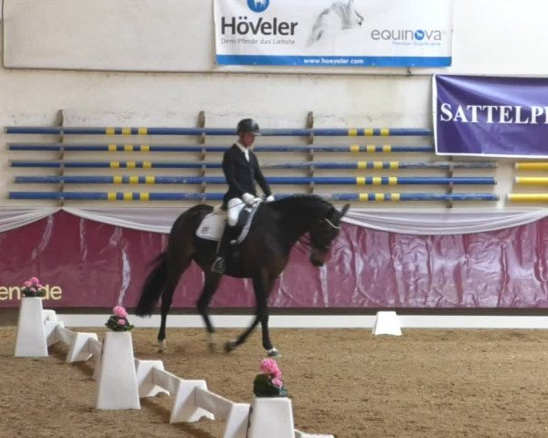 Reitturnier Eicherloh RH Laurent/Obb. 2019