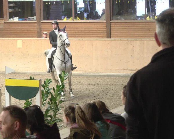 Reitturnier Mannheim-Neckarau 2019