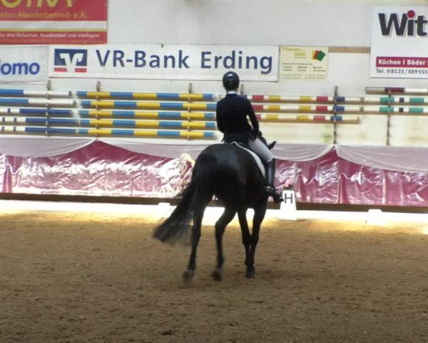 Reitturnier Eicherloh RH Laurent/Obb. 2019