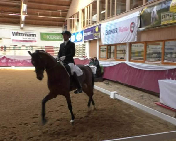 Reitturnier Eicherloh RH Laurent/Obb. 2019