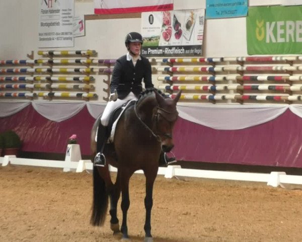 Reitturnier Eicherloh RH Laurent/Obb. 2019