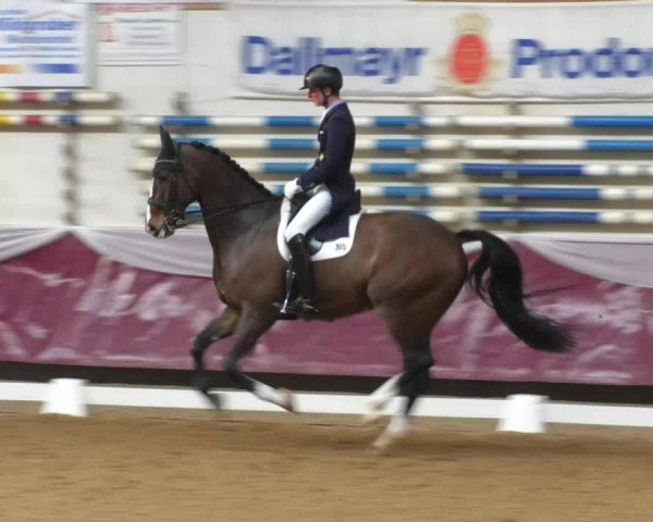 Reitturnier Eicherloh RH Laurent/Obb. 2019