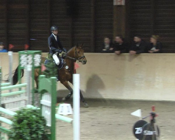 Reitturnier Mannheim-Neckarau 2019