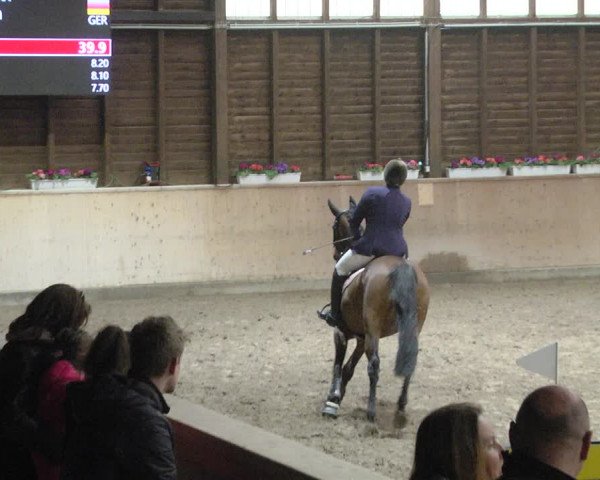 Reitturnier Mannheim-Neckarau 2019