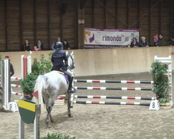Reitturnier Mannheim-Neckarau 2019