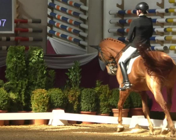 Reitturnier Eicherloh RH Laurent/Obb. 2019