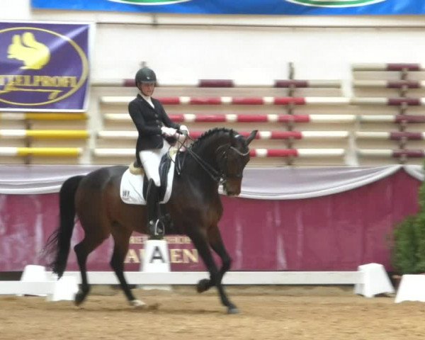 Reitturnier Eicherloh RH Laurent/Obb. 2019