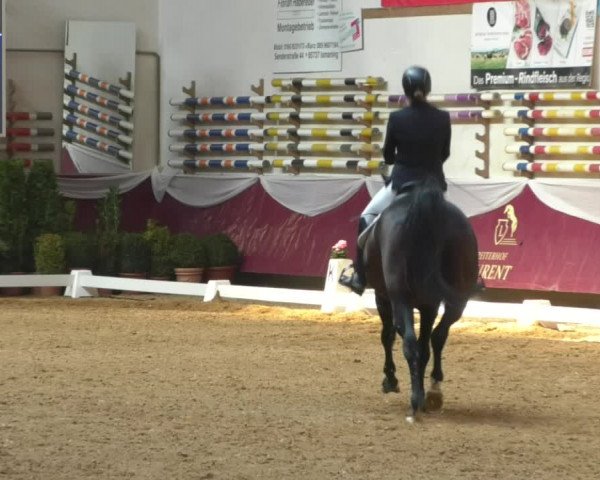 Reitturnier Eicherloh RH Laurent/Obb. 2019