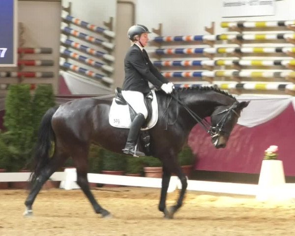 Reitturnier Eicherloh RH Laurent/Obb. 2019