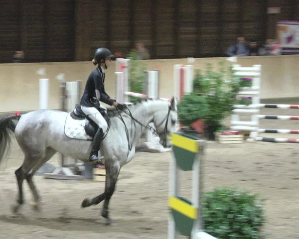 Reitturnier Mannheim-Neckarau 2019
