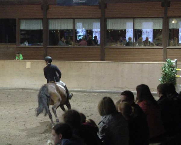 Reitturnier Mannheim-Neckarau 2019