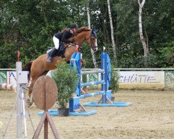 broodmare La Quita (Westphalian, 2008, from Light On OLD)
