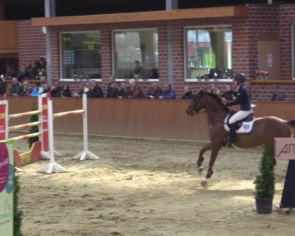 Rosendorf Classics 2019 Seppenrade