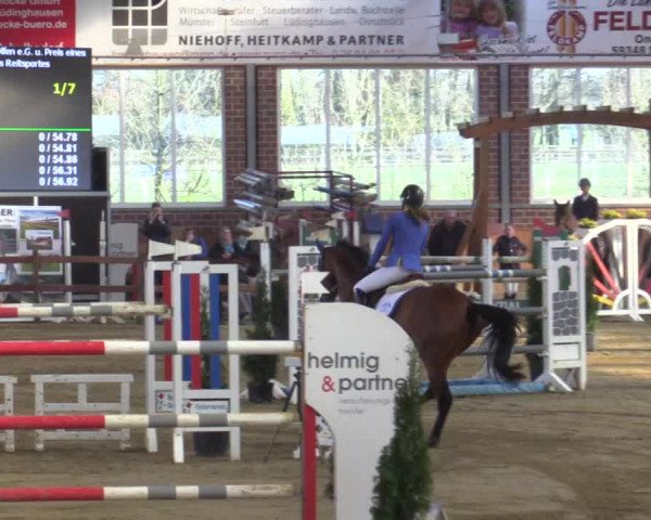 Rosendorf Classics 2019 Seppenrade
