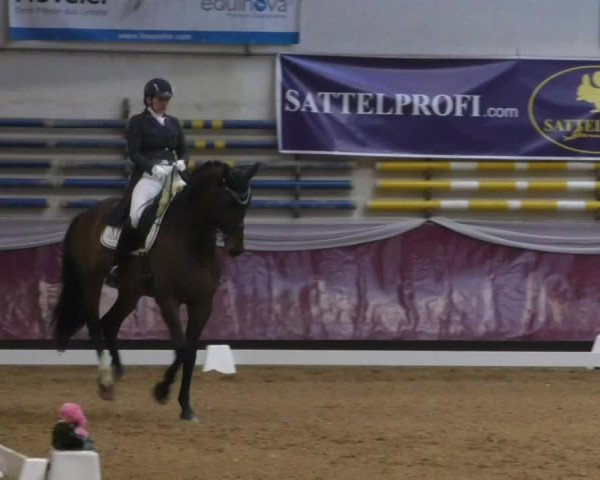 Reitturnier Eicherloh RH Laurent/Obb. 2019