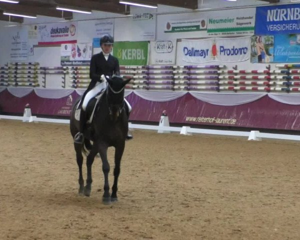 Reitturnier Eicherloh RH Laurent/Obb. 2019