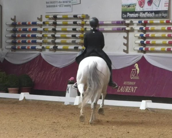 Reitturnier Eicherloh RH Laurent/Obb. 2019